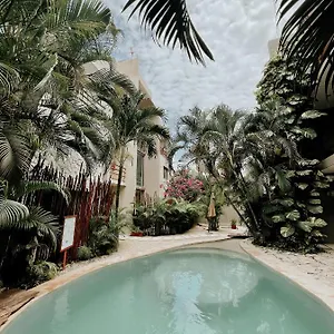 https://luna-llena-tulum.allrivieramayahotels.com